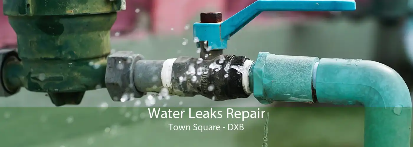 Water Leaks Repair Town Square - DXB