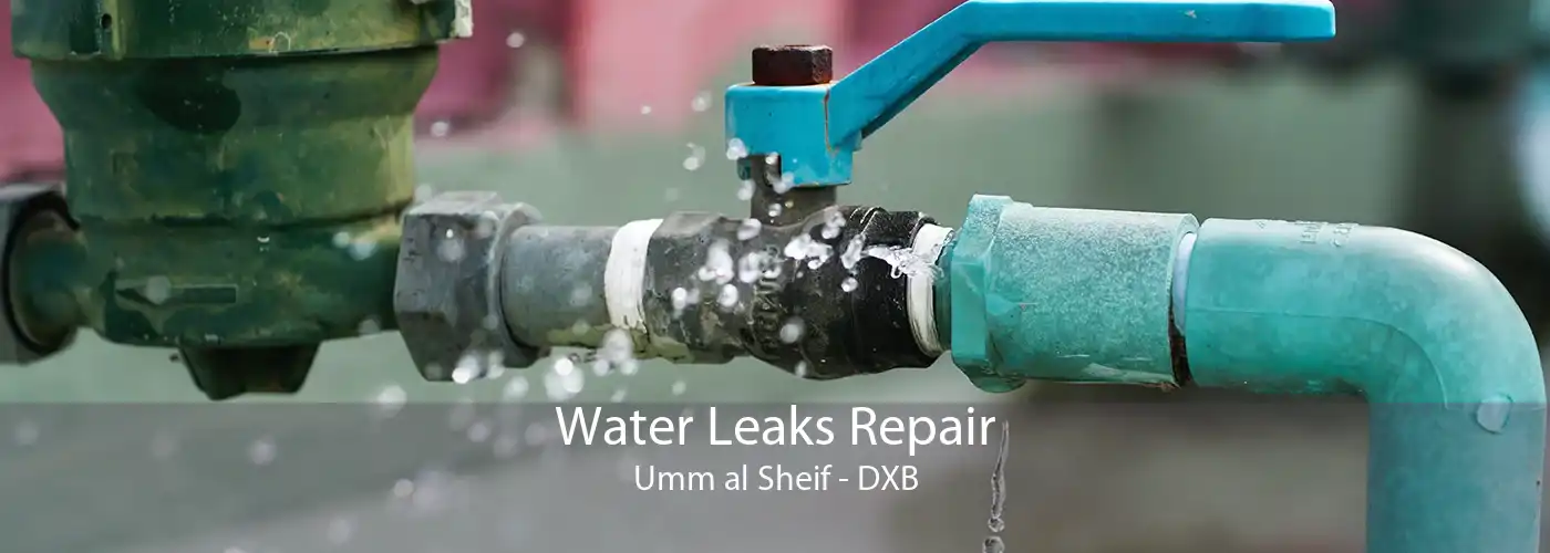 Water Leaks Repair Umm al Sheif - DXB
