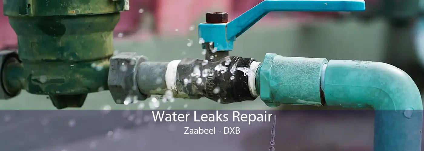Water Leaks Repair Zaabeel - DXB