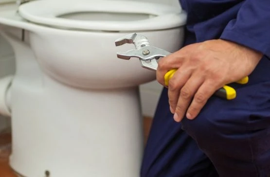 Causes of a Blocked Toilet in 